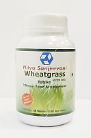 Nitya Sanjeevani Wheatgrass (60tab) Нитья Сандживани Витграс Экстракт зародышей пшеницы
